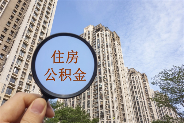 百色如何把封存离职公积金全部取来（离职封存公积金提取业务）